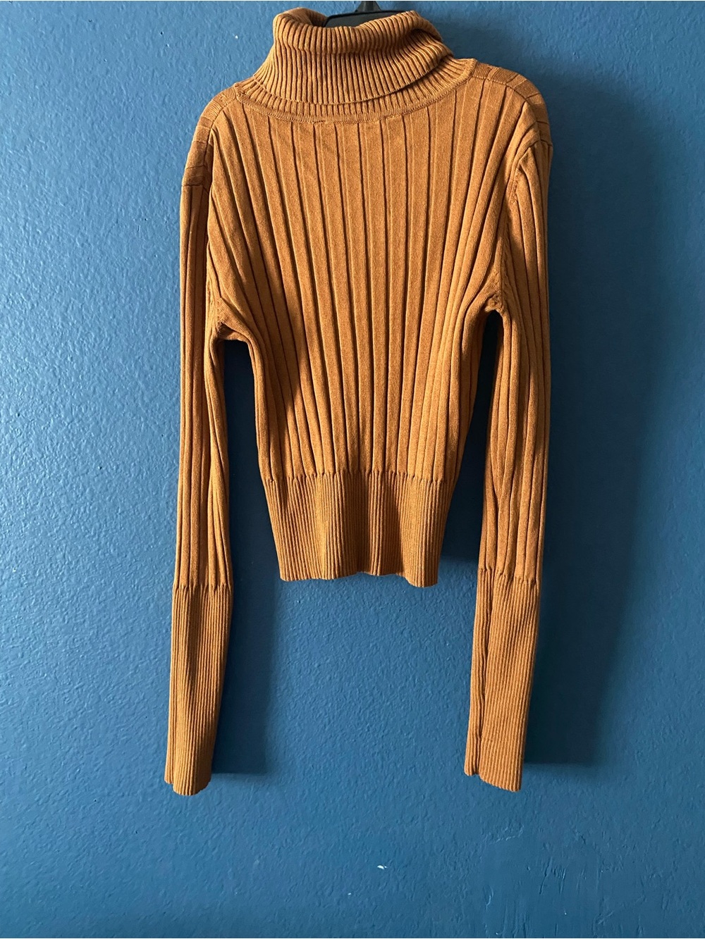Zara Ribbed Turtleneck Sweater in Brown